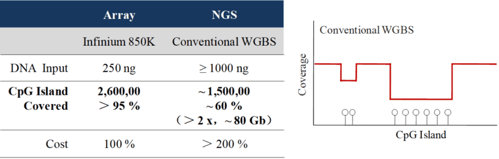 Principles and Workflow of Whole Genome Bisulfite Sequencing