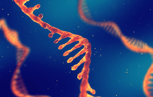 UMI RNA-Seq: An Effective Method for Eliminating PCR Bias