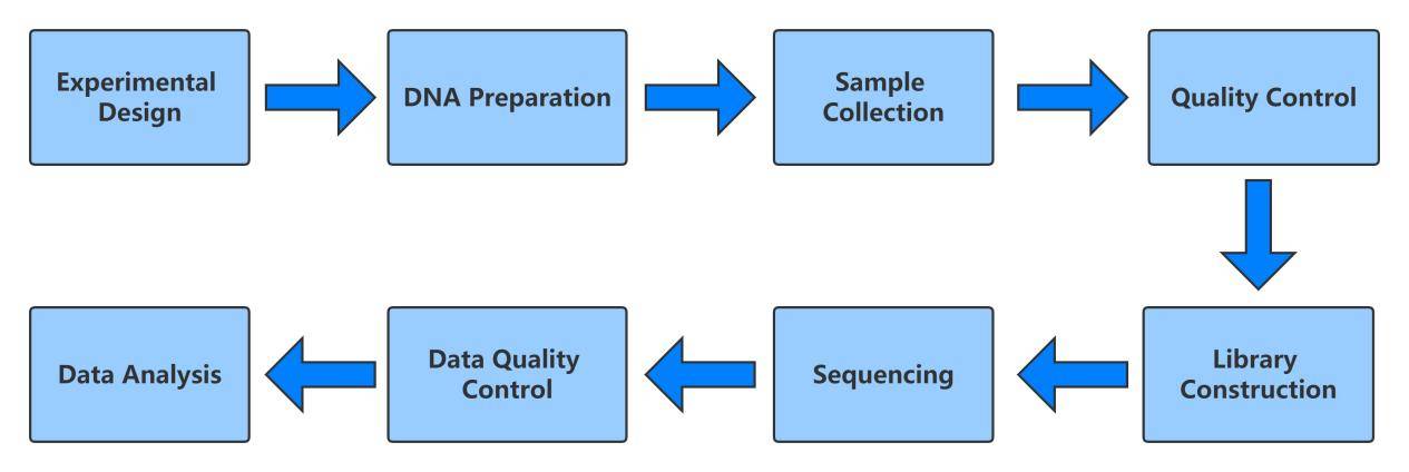 De Novo Whole Genome Sequencing Service