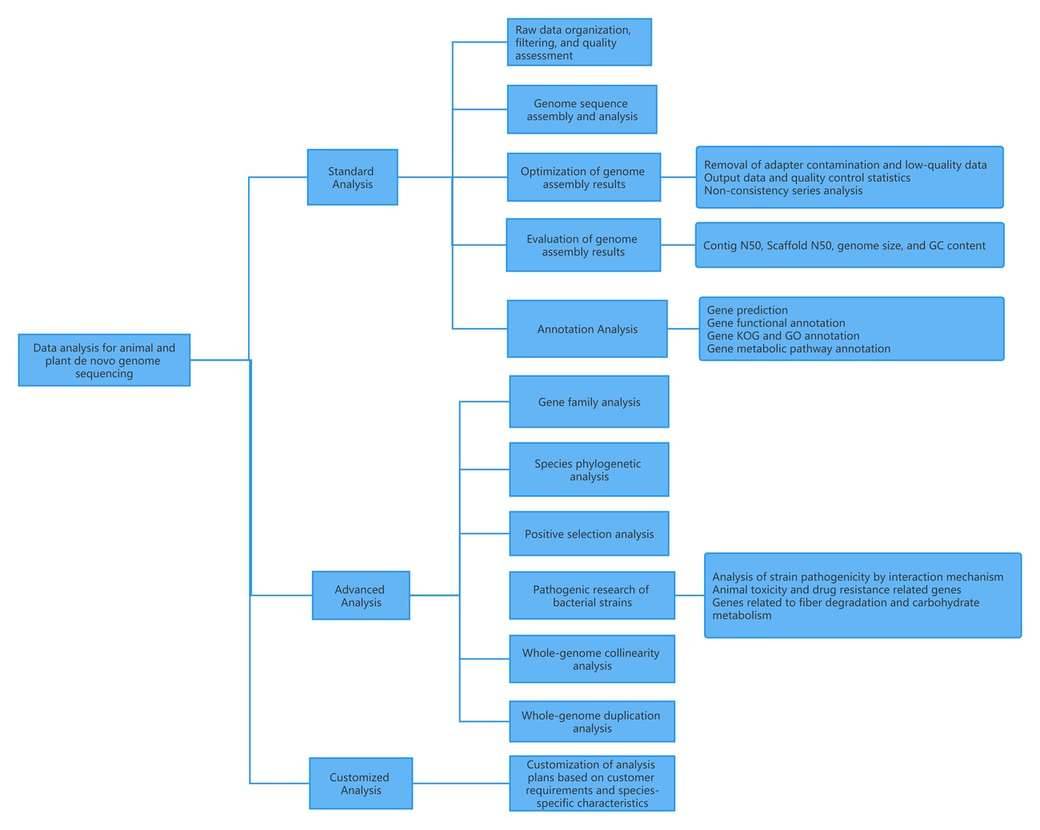 De Novo Whole Genome Sequencing Service