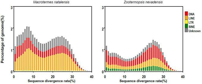 De Novo Whole Genome Sequencing Service