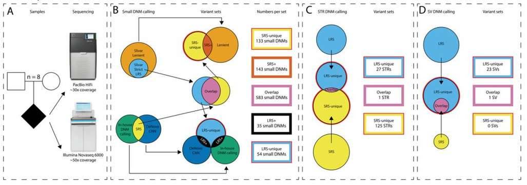 HiFi Long-read Sequencing Generates Comprehensive WGS Data to Detect All Types of de novo Mutations