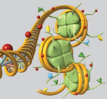Epigenomics Sequencing