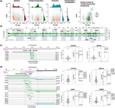 Mapping of Oncogenic Structural Variants in Gastric Cancer Uncovers 27 Potential Driver Sites